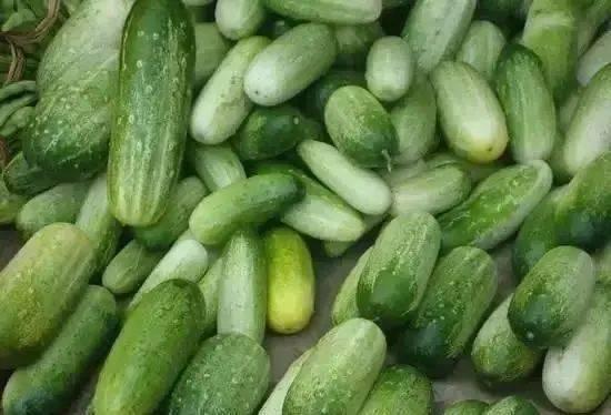 云南国防吃瓜,吃瓜群众眼中的军营生活