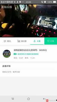 吃瓜主播酒吧,揭秘网红娱乐新天地