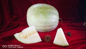 三白瓜如何吃,解锁夏日清新美味