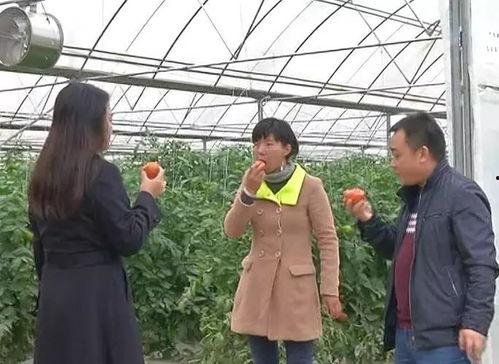 绥阳吃瓜群众案件,网络谣言引发的司法风波