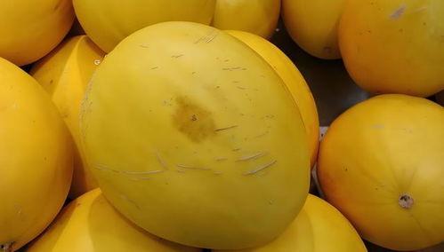 黄了个黄吃的瓜,揭秘网络热传美食背后的故事