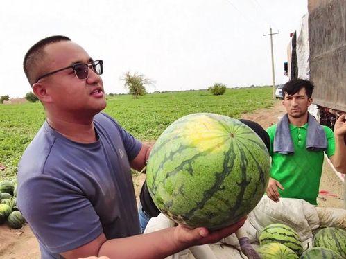 吃瓜吃猪头肉图片大全